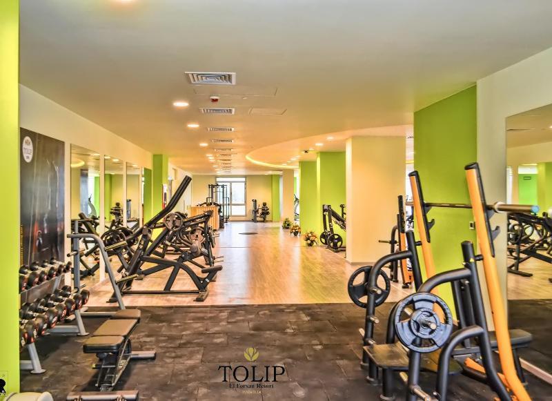 Tolip El Forsan Hotel Ismailia Eksteriør bilde The gym at Tulip Inn